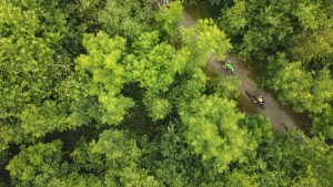 Cycling at the National Forest